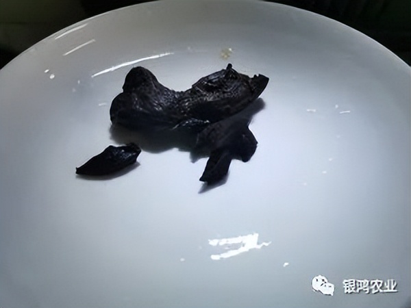 黄精蒸鸡最正宗的做法,食物黄精蒸鸡