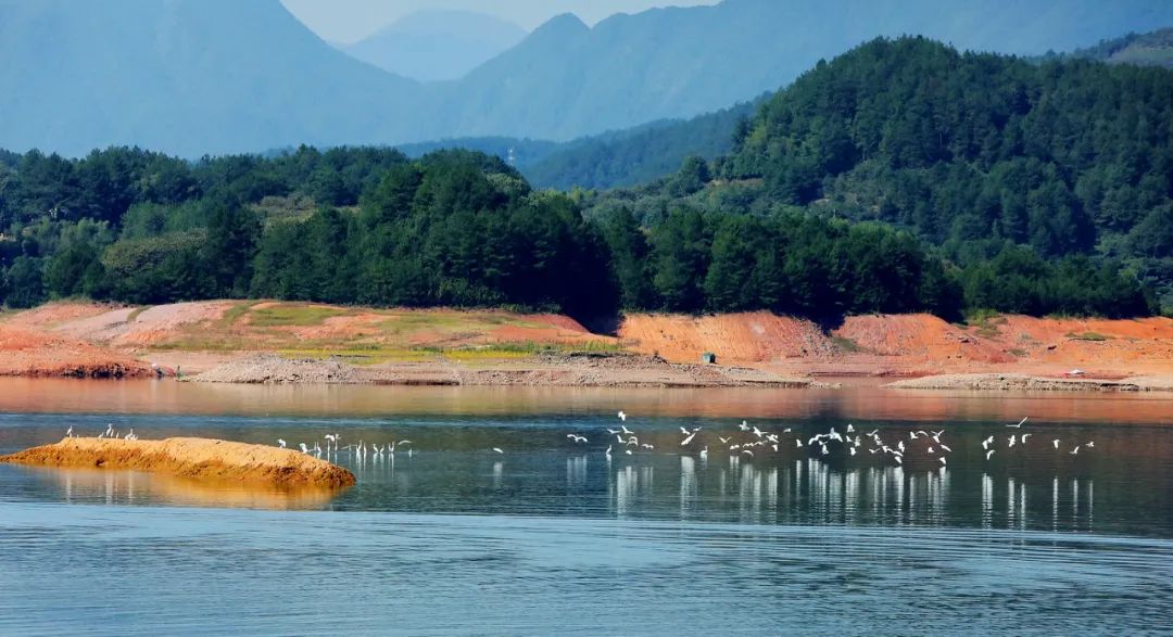 云端秘境遂昌,遂昌冬天旅游攻略