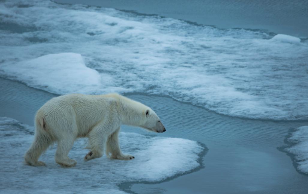 北极新发现甲烷了吗,北极甲烷大爆发是哪一年