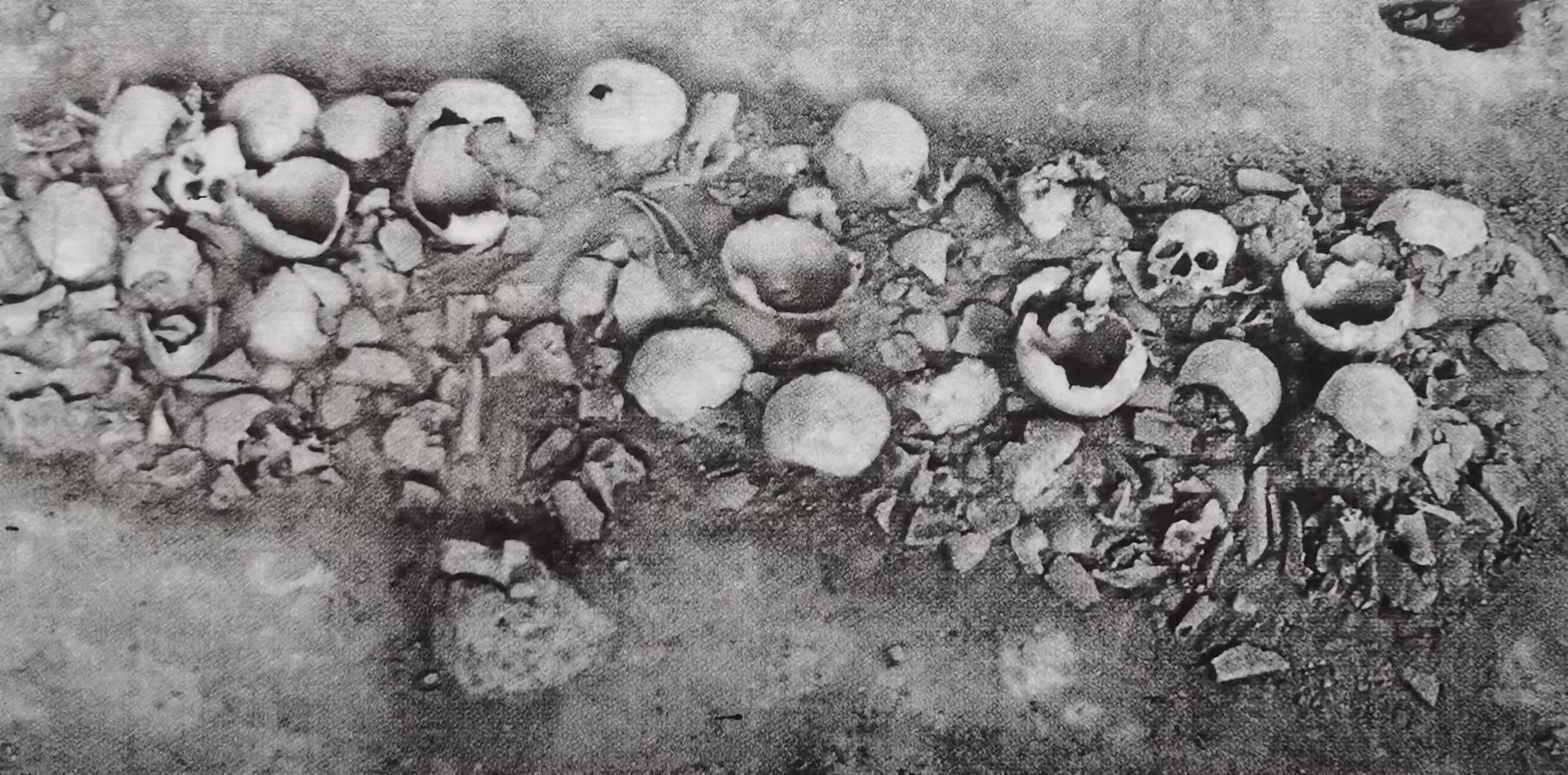 夏商周王朝是奴隶社会吗,夏商周为什么没有奴隶