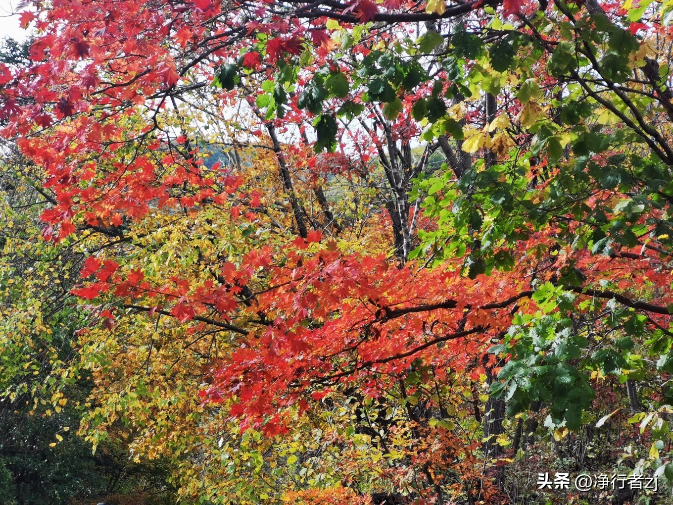 图们江口岸游记,从图们市到牡丹江自驾游