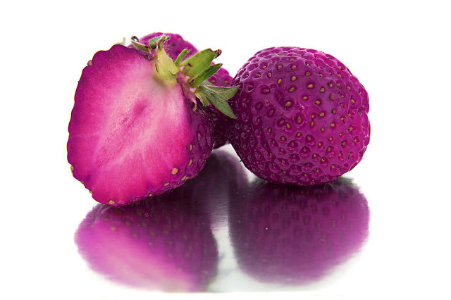 莓果色推荐 (小蓝莓值得购买吗)