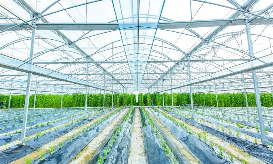 继马云之后，众多互联网大佬开始离场，未来这些专业将会崛起