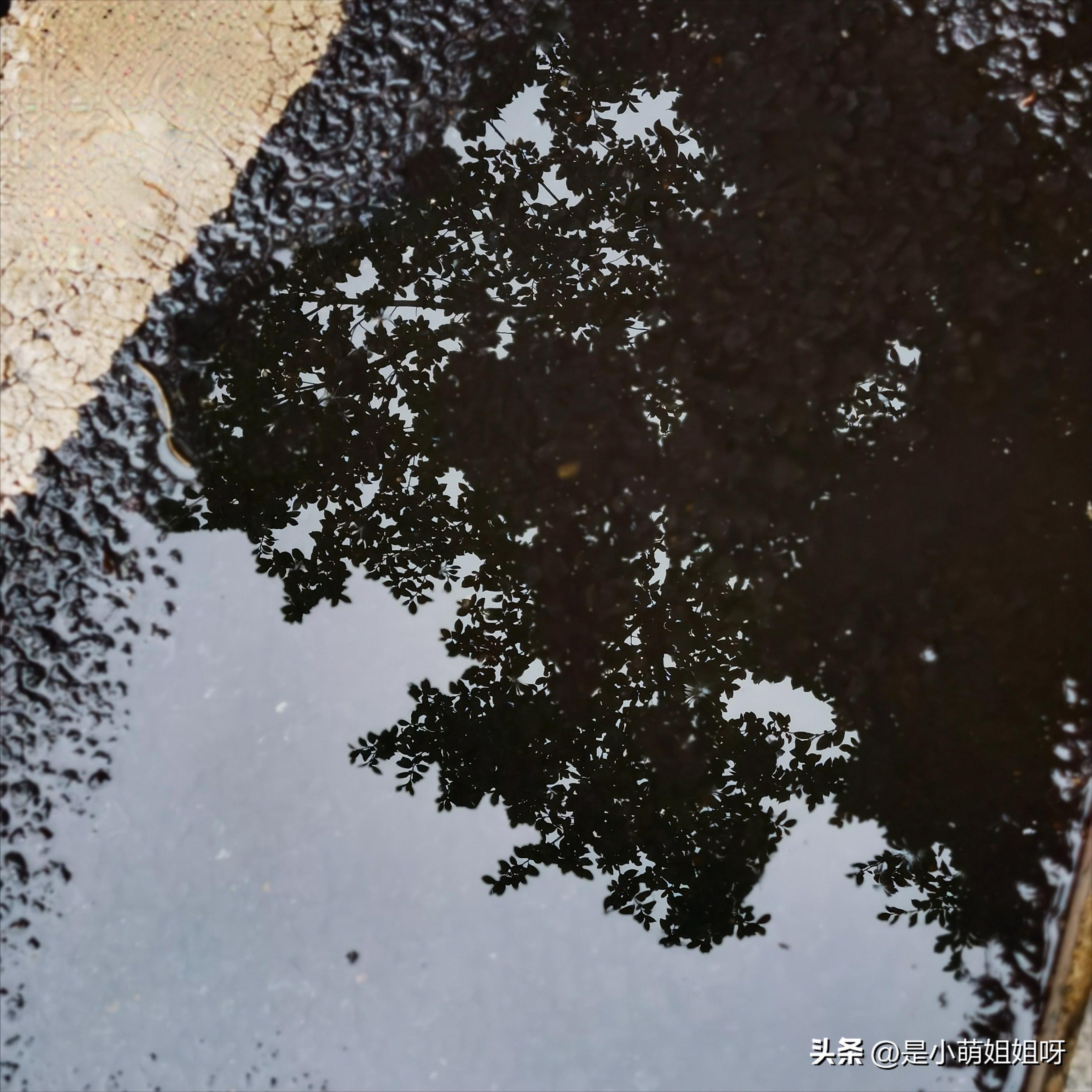 新人怎么做自媒体才能月入万元,做自媒体如何保证月入5000