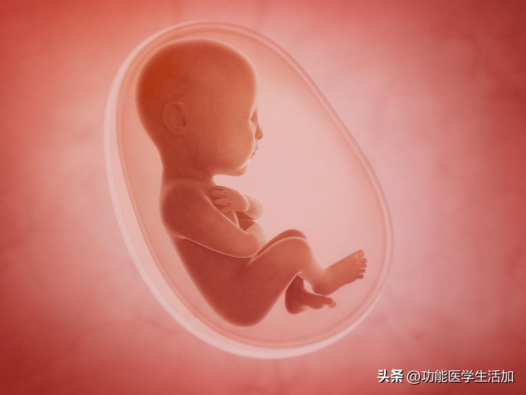 锻炼对寿命有影响吗,锻炼养生与寿命的关系