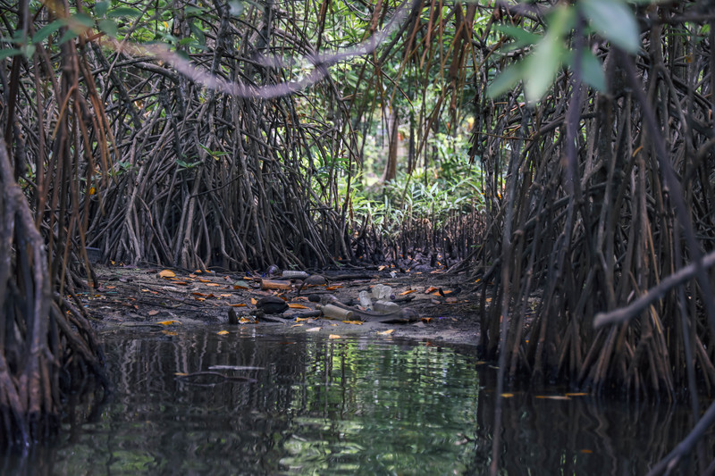 斯里兰卡旅游攻略必去景点,斯里兰卡旅游攻略最佳时间