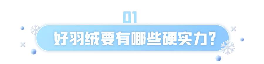 100多元的羽绒服翻车,羽绒服卖上万元被罚