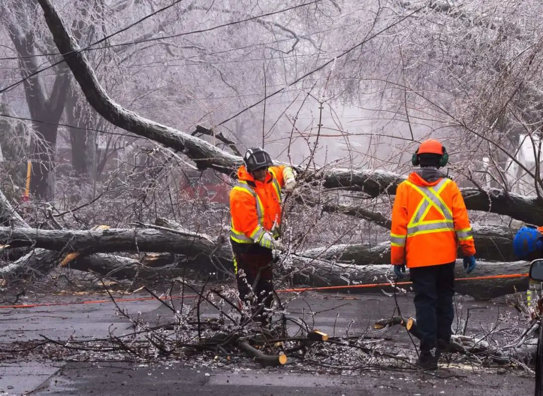 肖某被捕名单,肖某被打事件