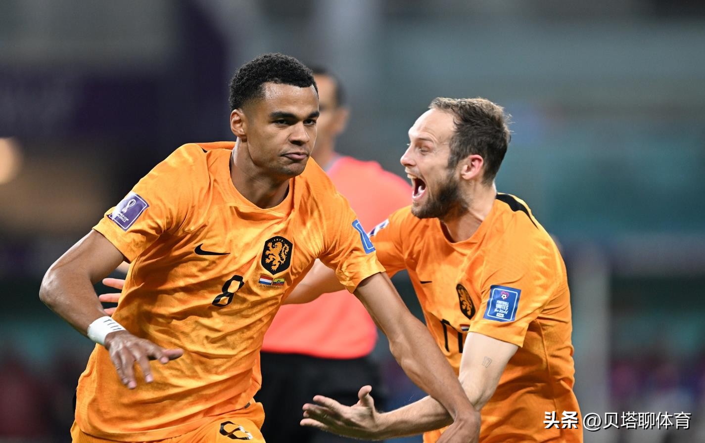 荷兰队对厄瓜多尔怎么是胜平呢,世界杯荷兰厄瓜多尔上半场