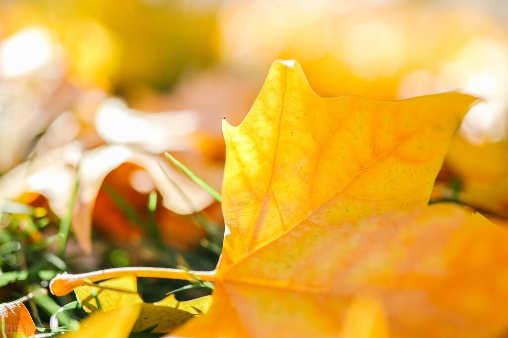 有关于万水千山总是情的古诗,万水千山总是情完整诗句