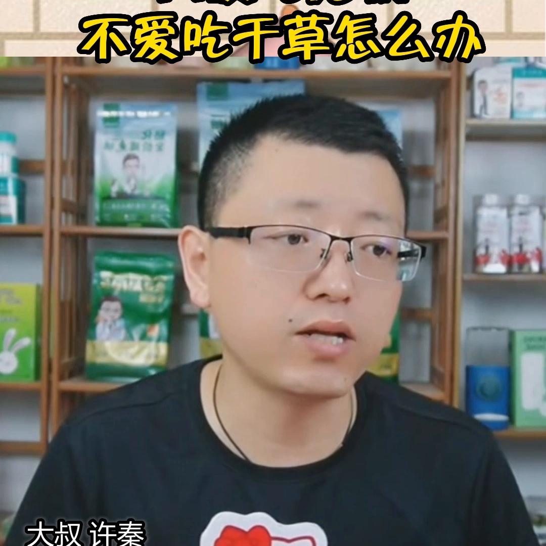 兔子挑食光兔粮不吃草怎么办,兔子不爱吃草怎么办