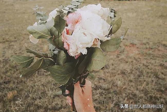 笑过后深思,笑过之后你懂得了什么