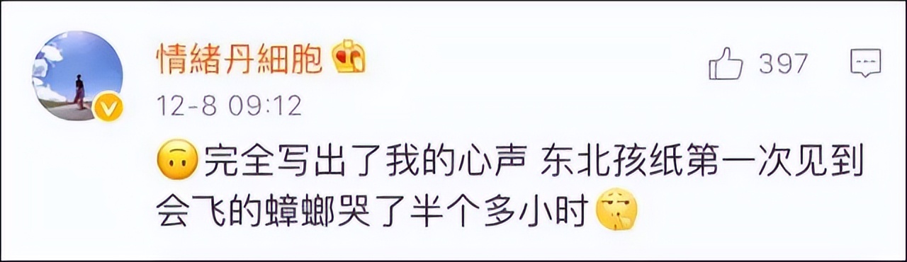 杀死蟑螂的100多个方法,杀死蟑螂的100种办法