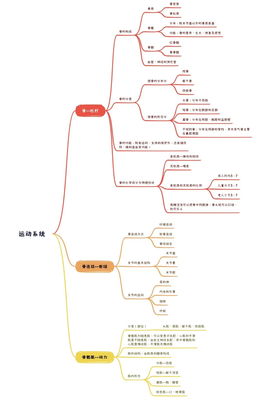 人体解剖生理基础名词解释,人体解剖生理基础ppt