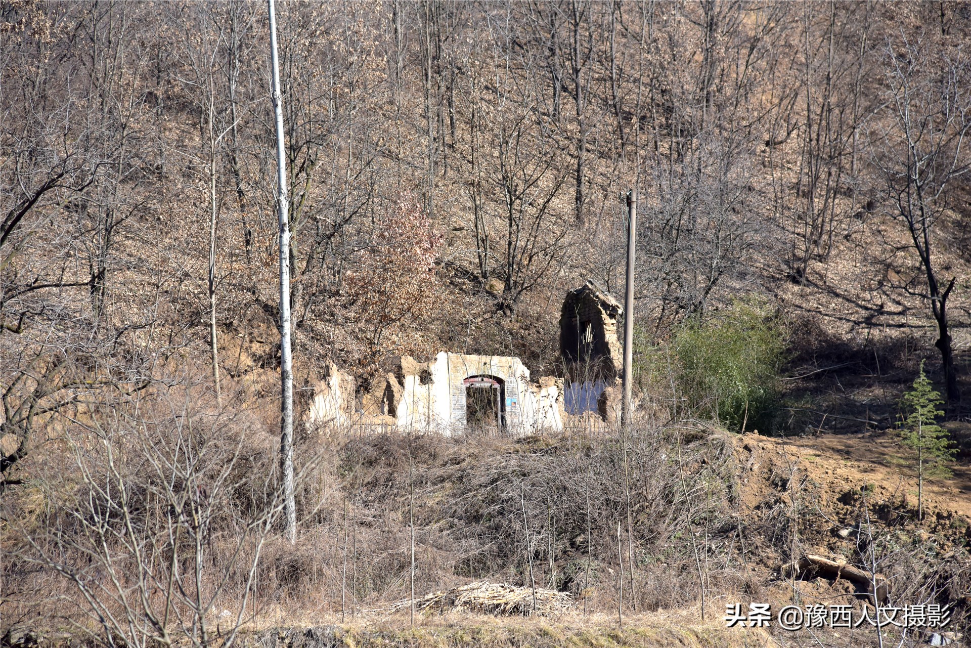 孤山坟墓葬在哪里好,孤山上的坟墓