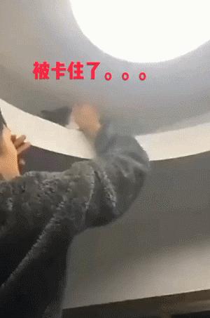 别人家的猫是液体还是固体,猫都是水做的