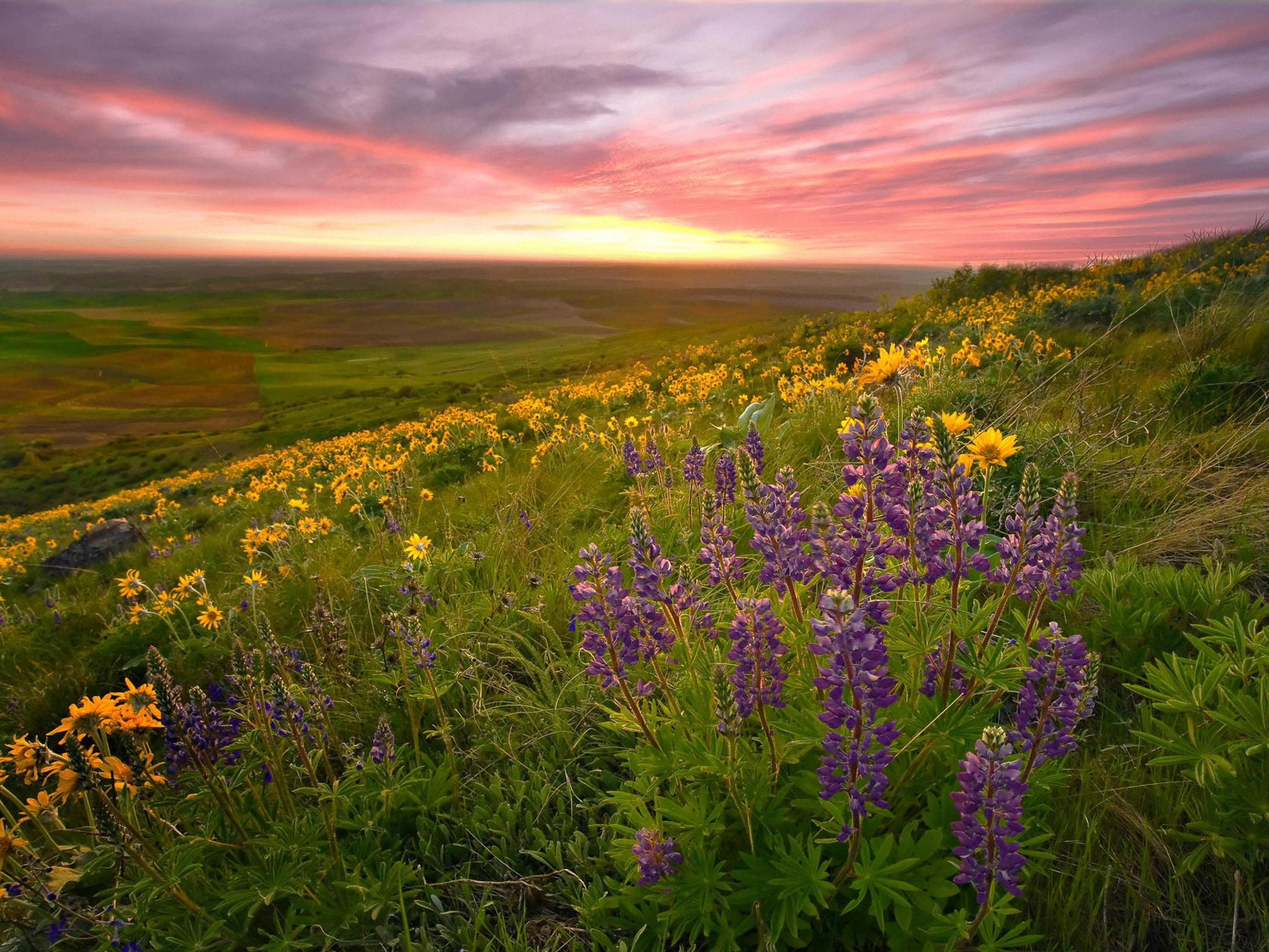 店铺做百度地图定位多少钱,做一个网站成本是多少合适