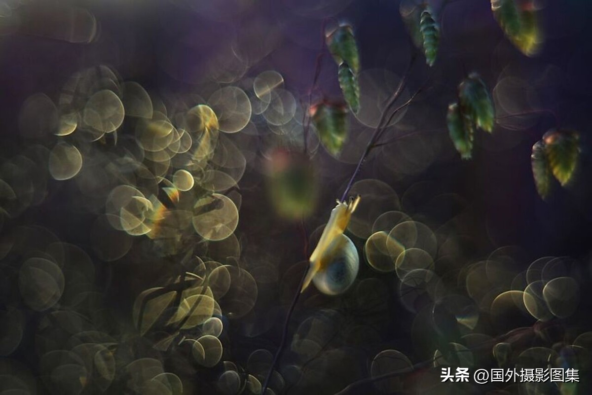 最美的景色秋天照片高清,夏天和秋天的绝美照片