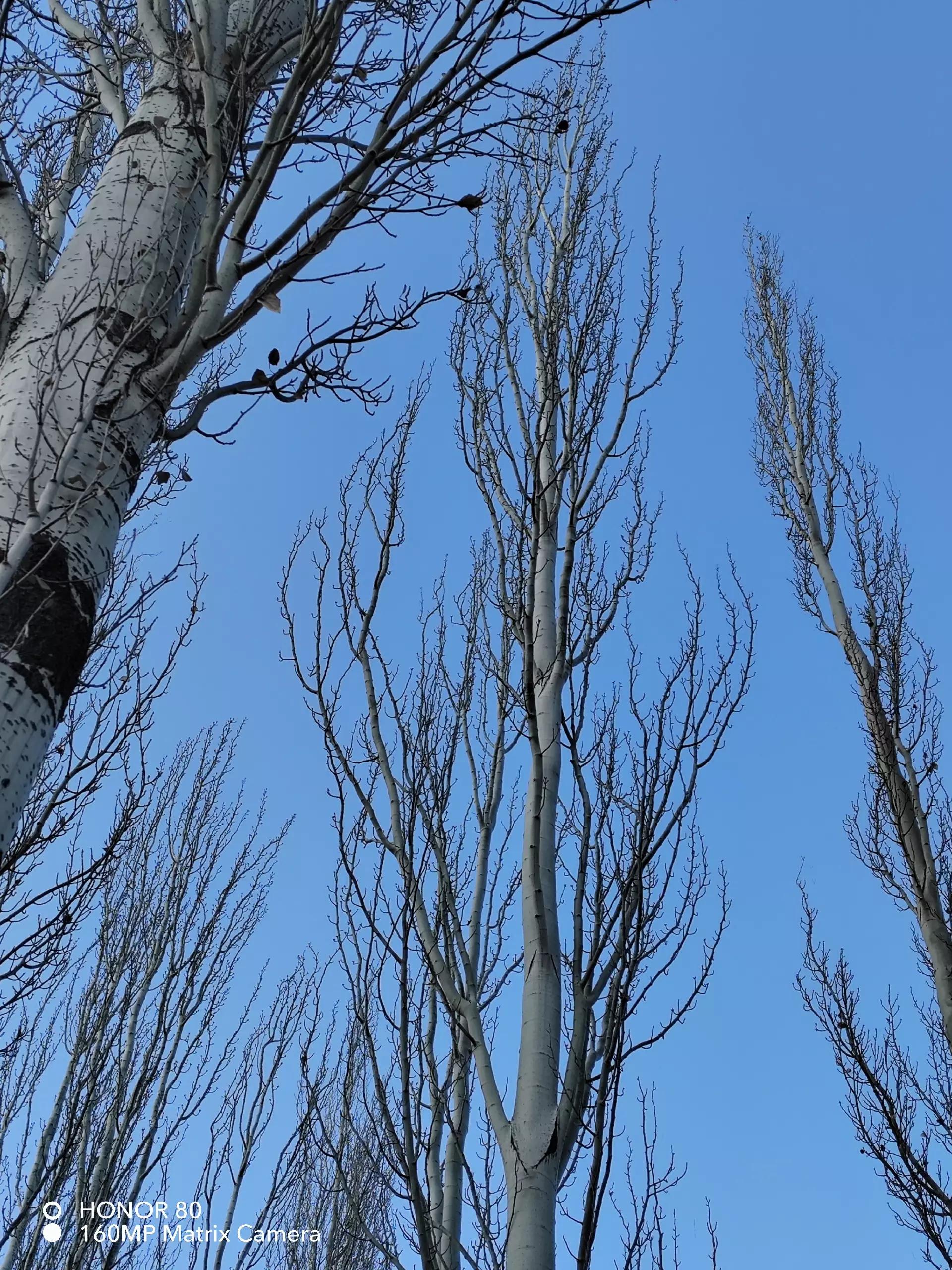仅搭载了骁龙782，聊聊凭啥荣耀80能在一众旗舰机里杀出圈