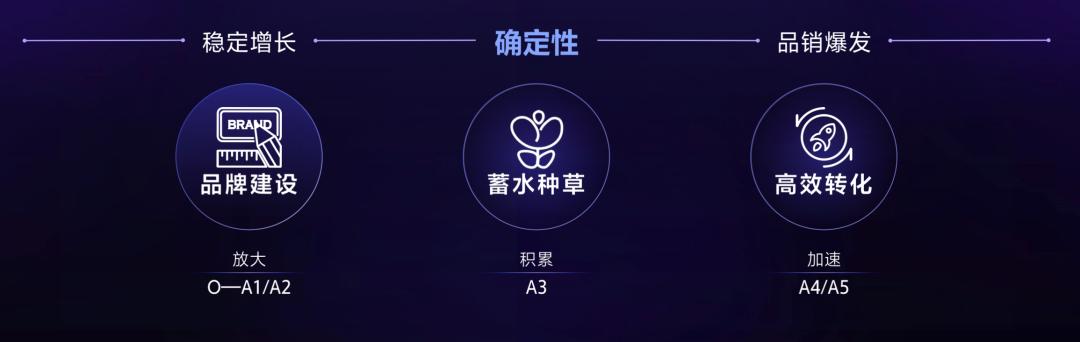 种草模式六大秘诀,种草转化率怎么提高