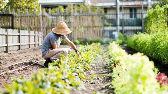 菜吧：采摘、垂钓、认养做不好？这样升级还能找条活路