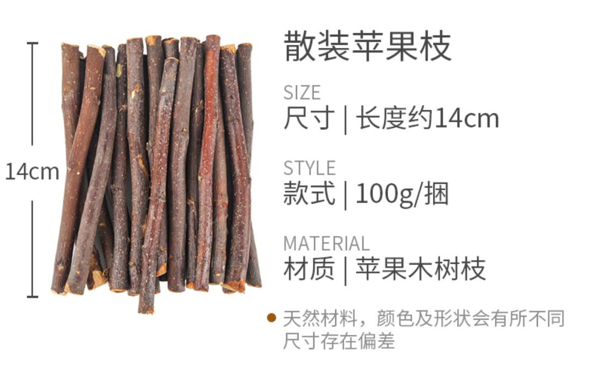 适合新手养的宠物龙猫,养一只可爱的龙猫