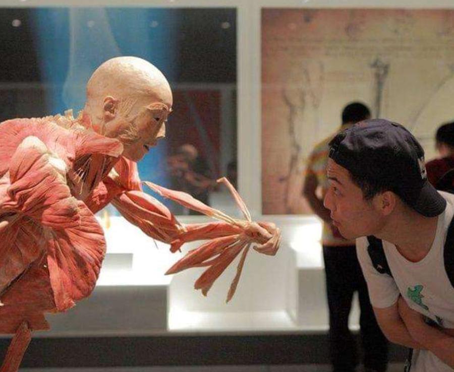 人体标本制作师王耀：一年制作50具标本，从业十几年，却依然恐惧