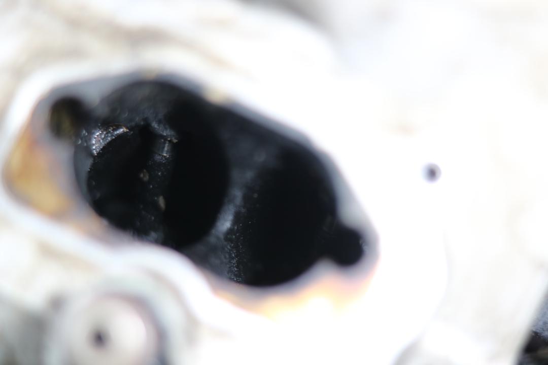 奥迪q7报废厂,老款奥迪q7出车祸