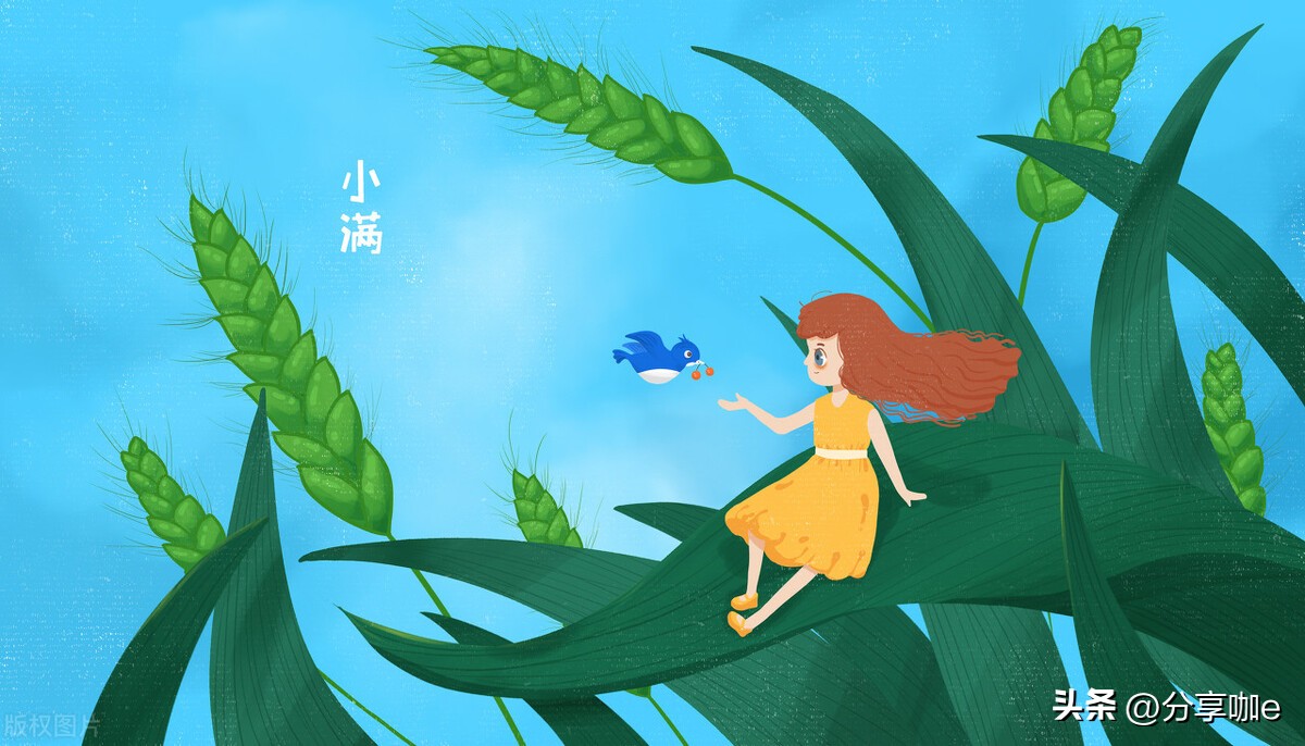 二十四节气是外国人发明的,二十四节气是哪个朝代发明的