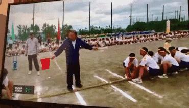 word实用免费插件,有哪些好用的Word文档插件