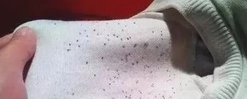 衣服上出现黑点是怎么回事,衣服上有很多小黑点是怎么回事