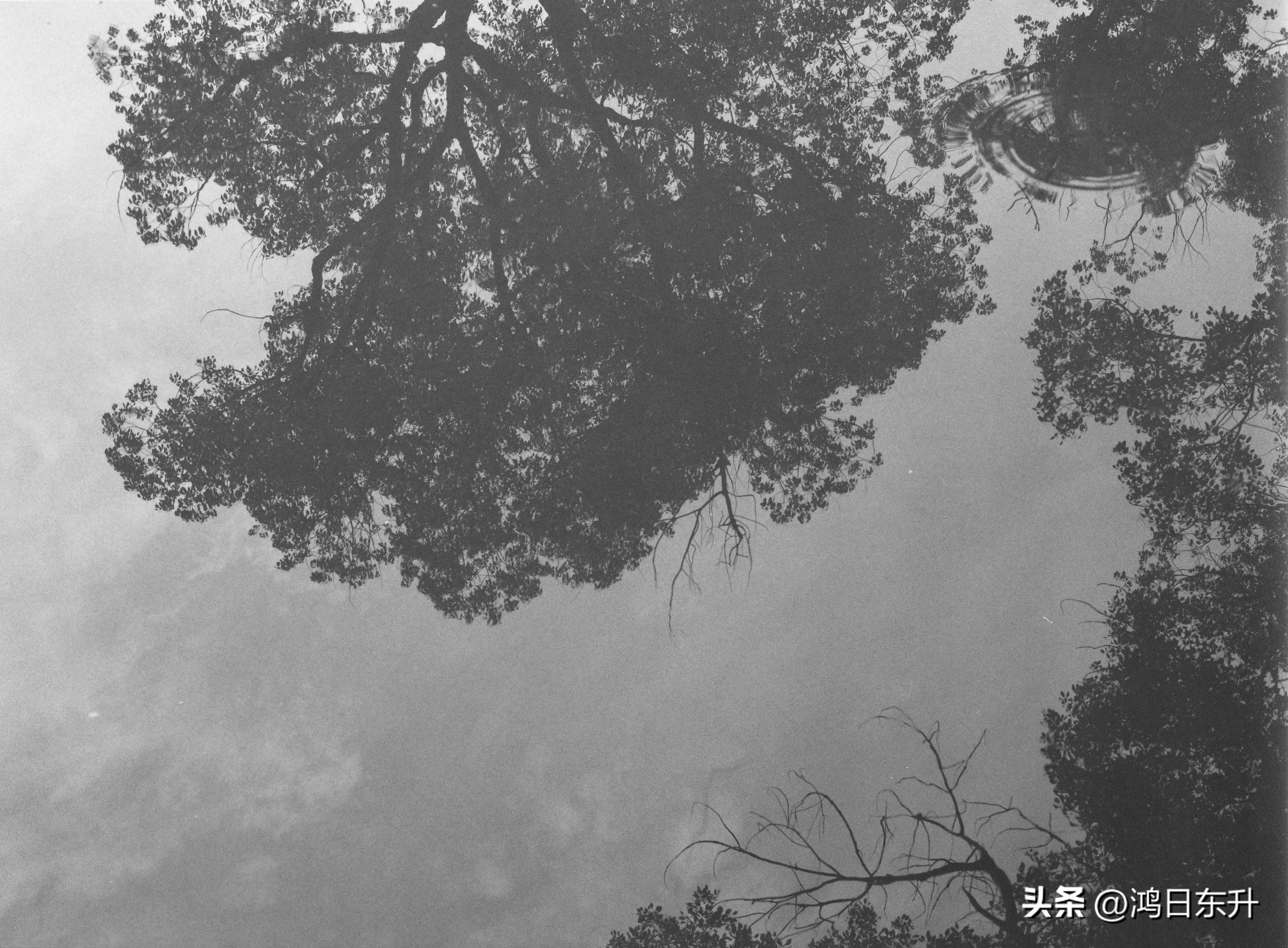 宾得645Nii老胶片相机值得拥有