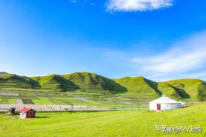 咏草诗句,咏草古诗句子