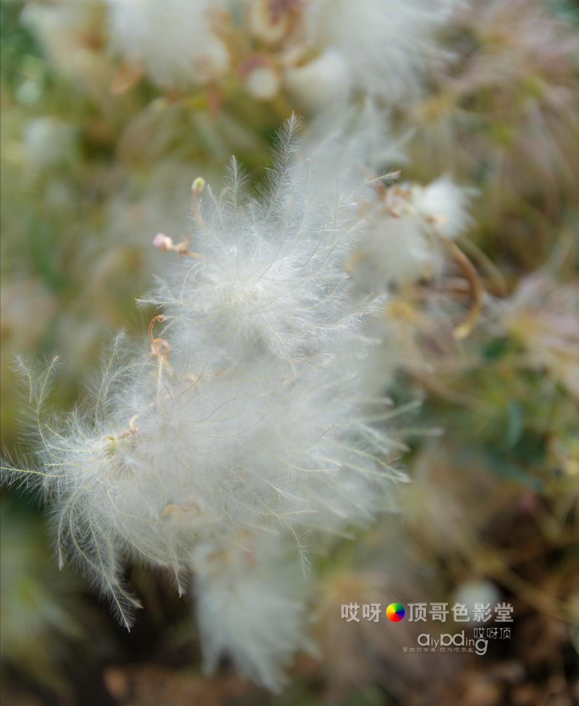 女司机带娃去新疆自驾游,带着女司机自驾游兰州