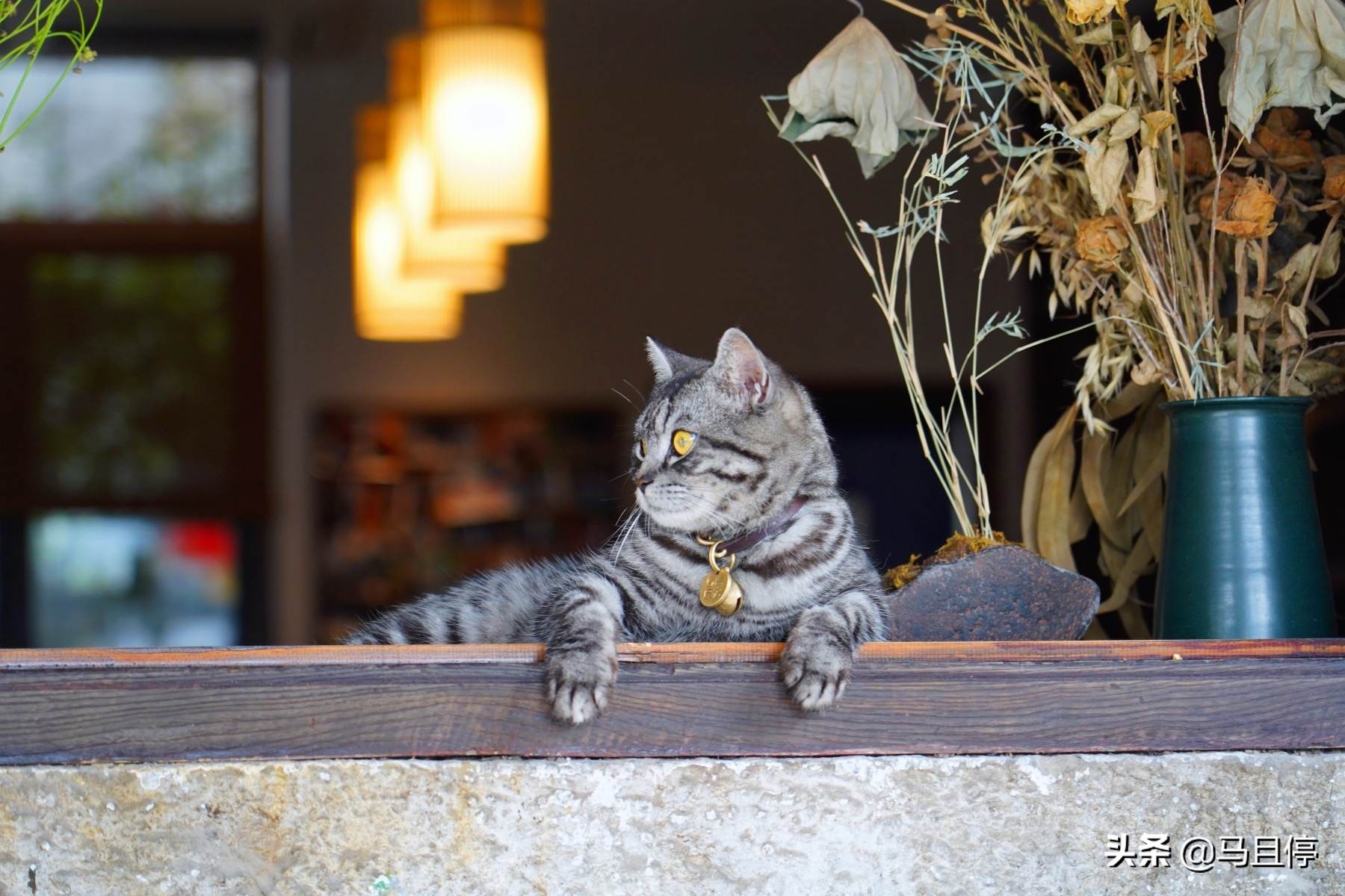 江浙沪最适合养老的地方,江浙沪周边最适合宜居养老胜地