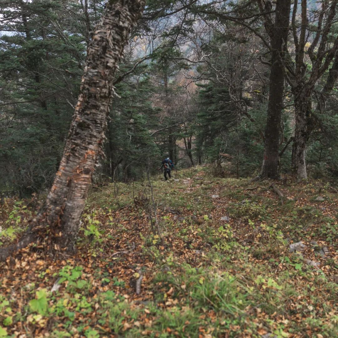 登太白山感受,太白山景区登顶拔仙台