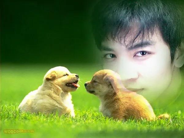 人人网哪年出来的,以前人人网还在吗