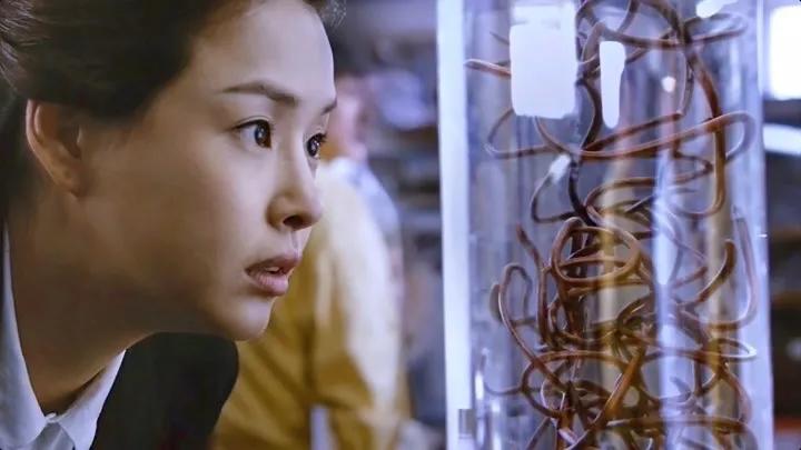 世界十大好看的灾难电影,十大视觉震撼的灾难电影