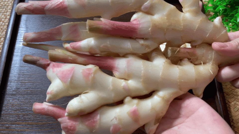 三伏天吃醋泡姜做法,老奶奶泡糖醋仔姜的腌制方法