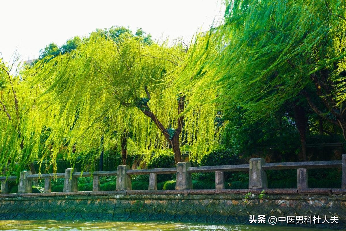 硬度不够无非就是不足和不通，一方补虚化瘀恢复该有的韧性