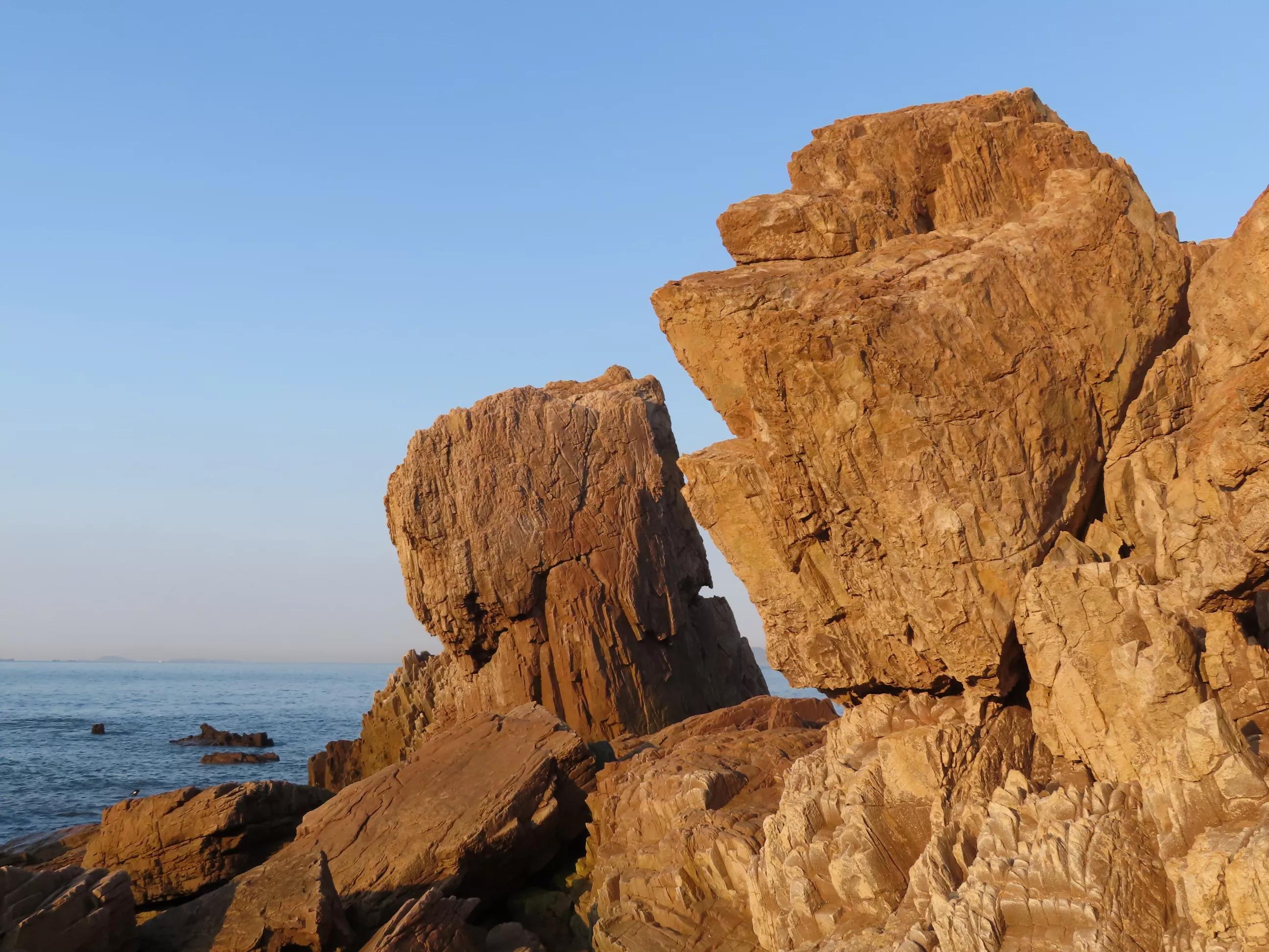 青岛的海,青岛的海鸥