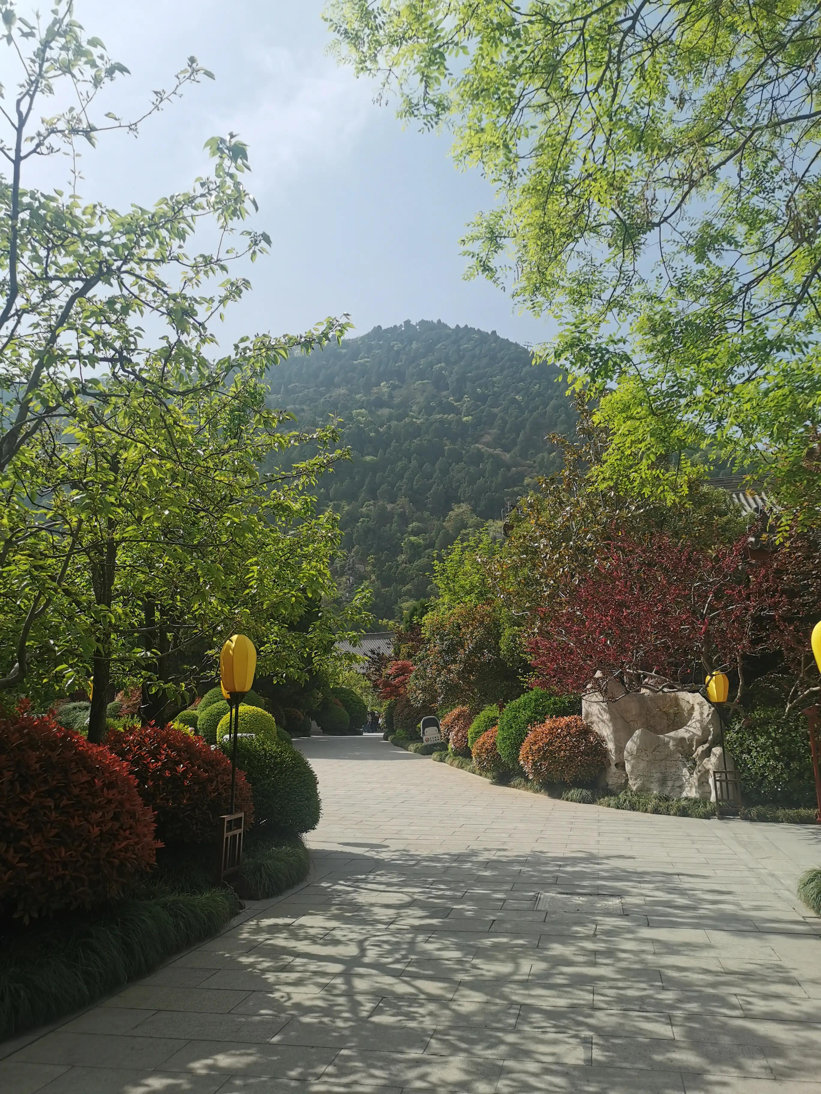 华清池温泉水滑洗凝脂,春寒赐浴华清池温泉水滑洗凝脂