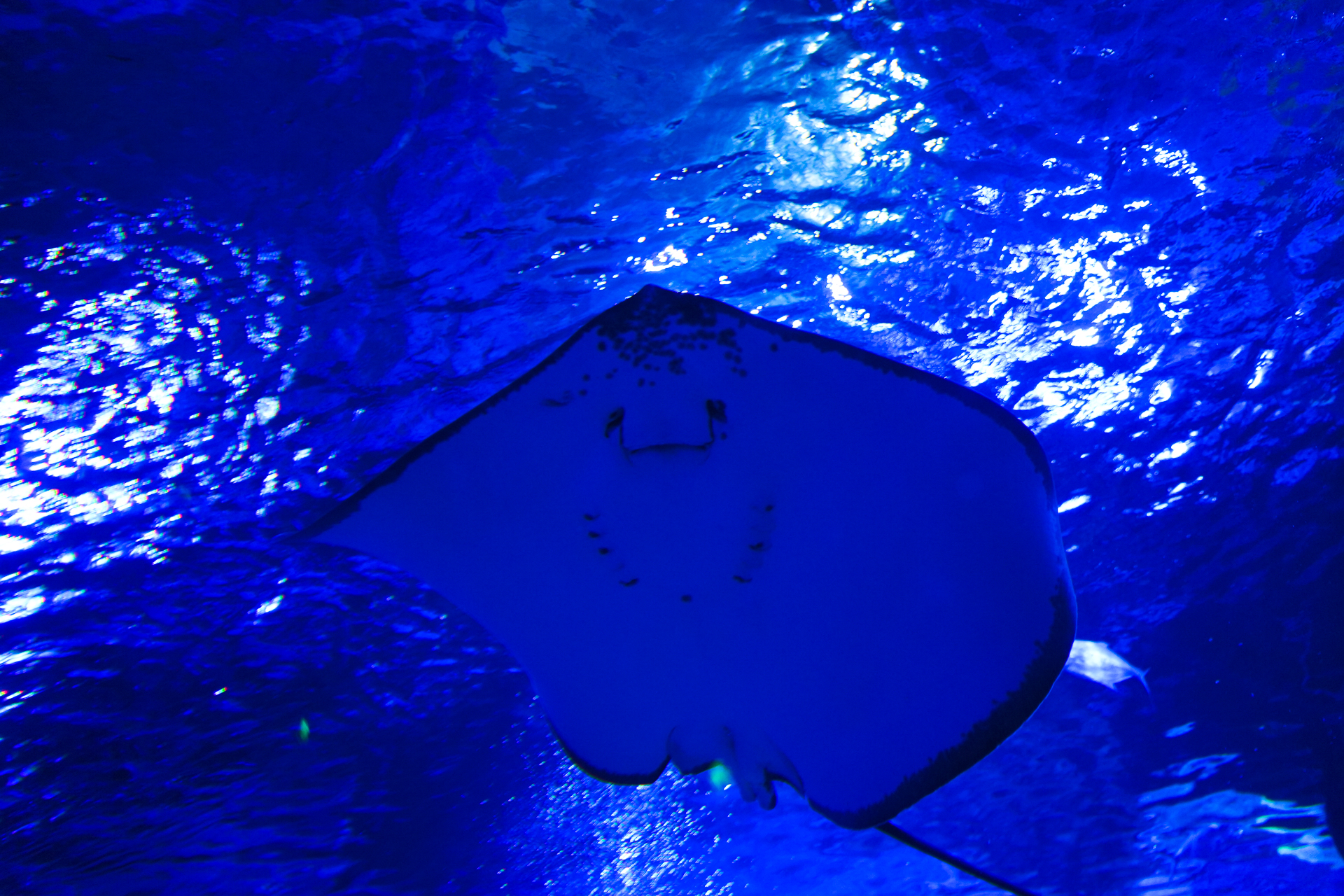 温州瓯海美食一条街,温州乐园刺激惊险