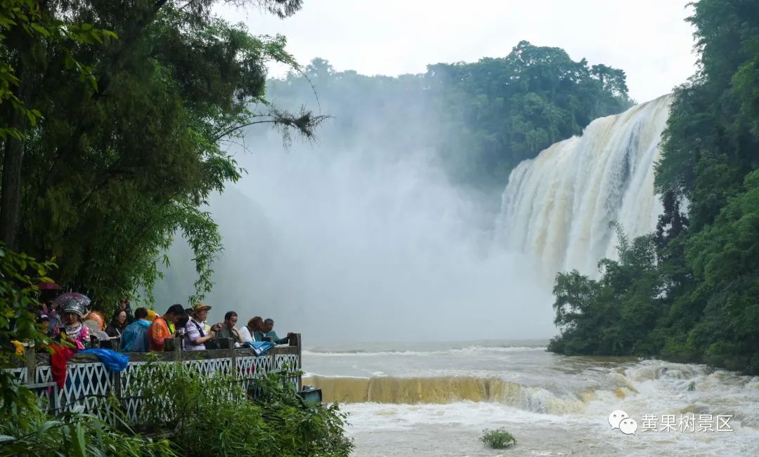 璐靛窞濂囪鐎戝竷,閾舵渤鐎戝竷璐靛窞