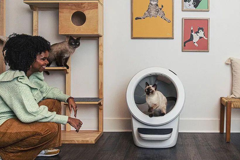 宠物设计用什么产品比较好,给宠物设计一款产品