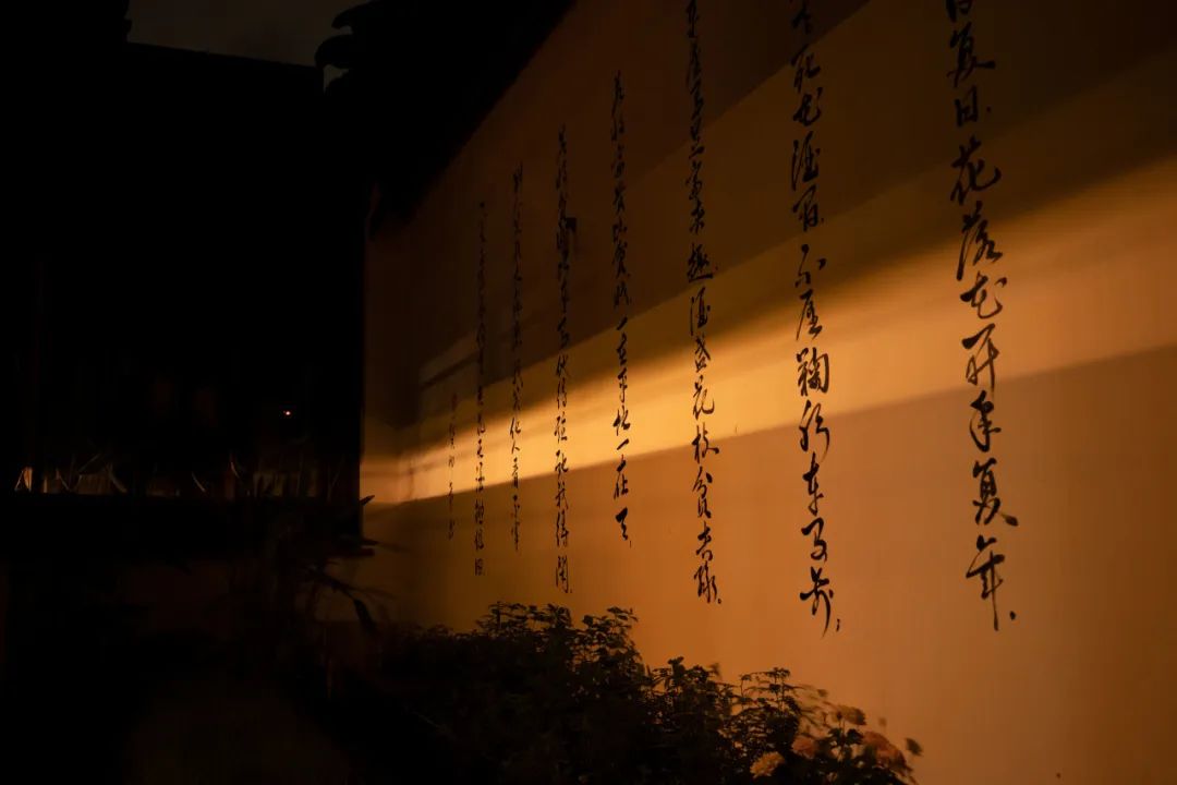 鑻忓窞浜哄父鍘荤殑閰掑惂,鑻忓窞5涓瀬鍏风壒鑹茬殑灏忎紬閰掗