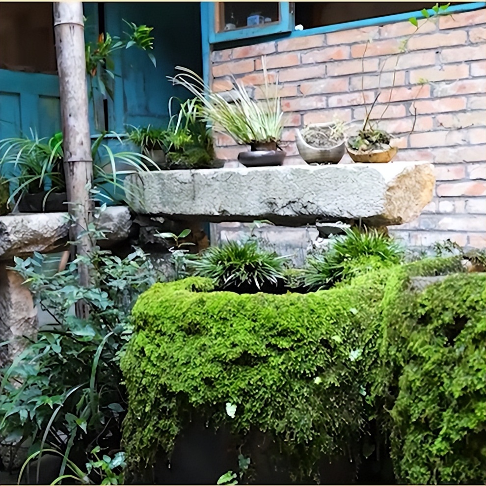 田园风光美丽的农家小院,美丽庭院装点幸福生活