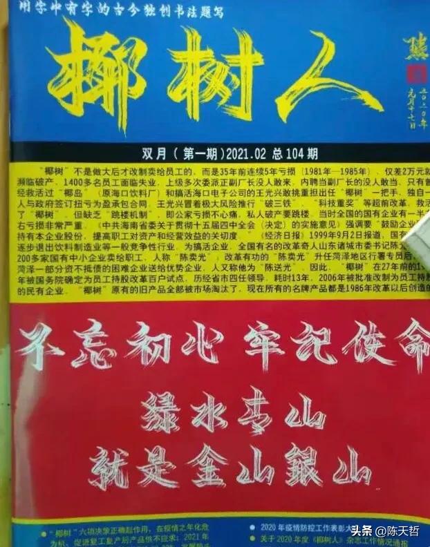 椰树集团老总王光兴是琼山哪里人,椰树集团老板王光兴怎么评价椰树
