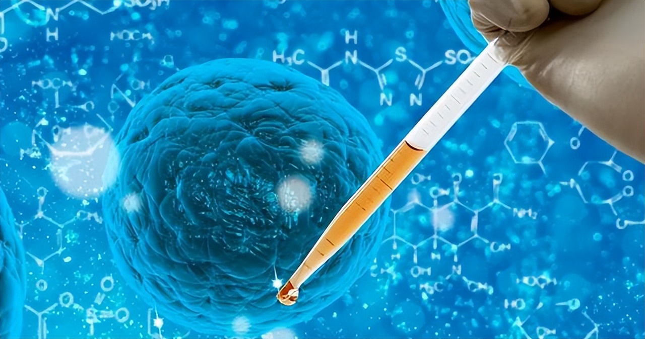 人兽真能杂交，日本批准“人兽杂交胚胎”实验，是福是祸？