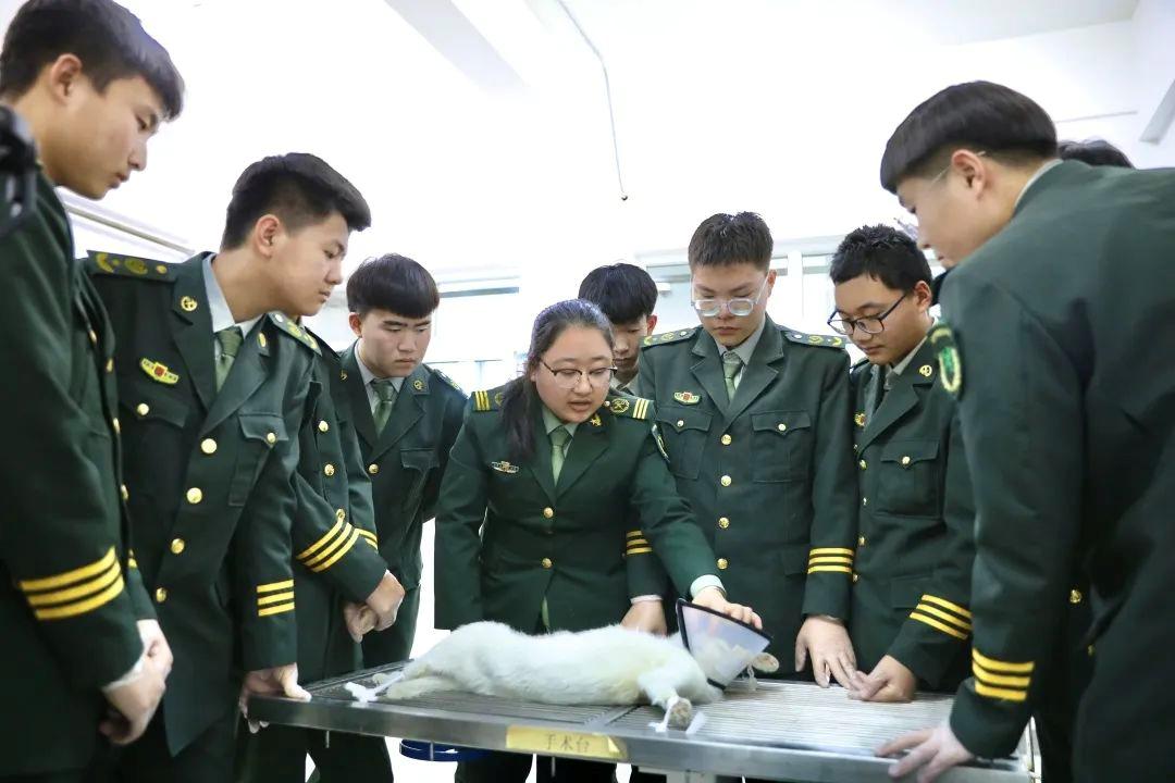 大连中港学校在哪里,大连中港教育学校好吗